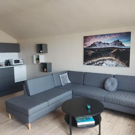 Heppa Apartments Höfn Extérieur photo